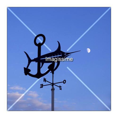 imagissime postcard